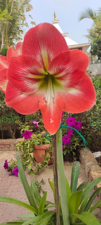Upasana Eco Resort Bolpur Exteriör bild